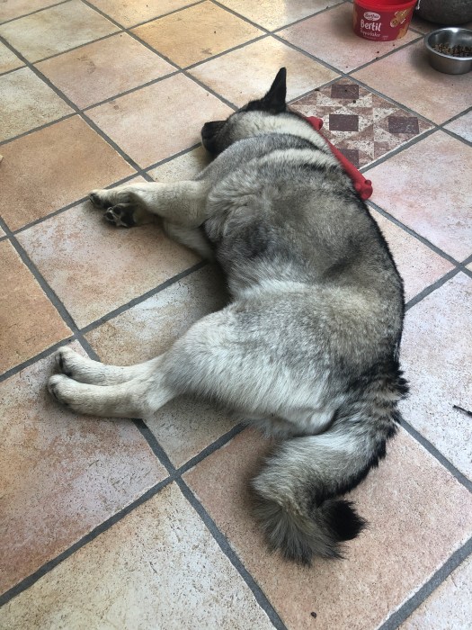 67778225283__96eb46bf-35ab-458c-a40b-24a15f218016