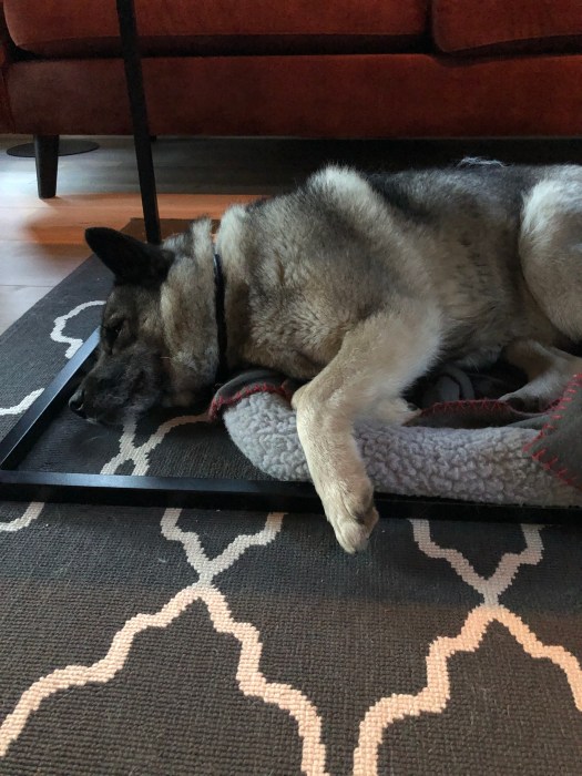 69964276567__b5362ce6-4ef6-4b20-9e75-a744a9535446