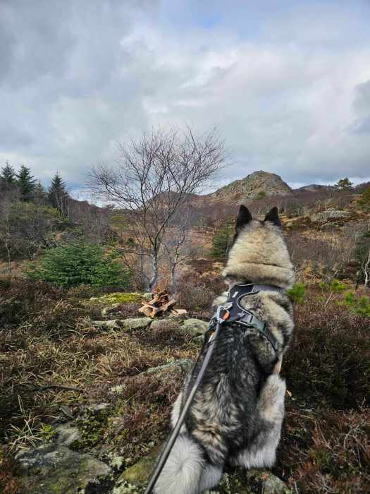 messenger_creation_0184870f-9116-418d-b1cb-911b3b34be97