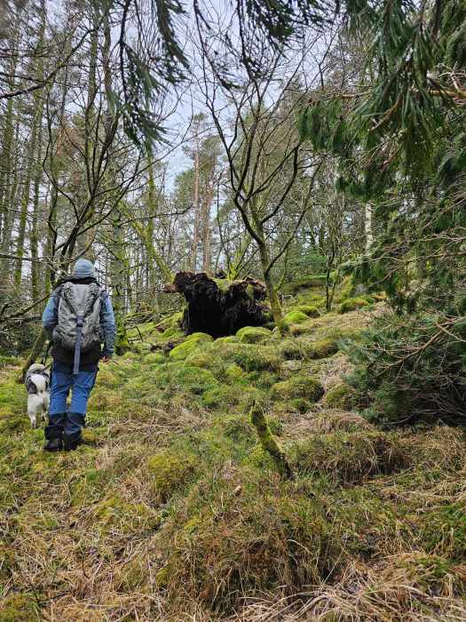 messenger_creation_3da37f34-6580-4722-bec1-b6c1cf97fbc2