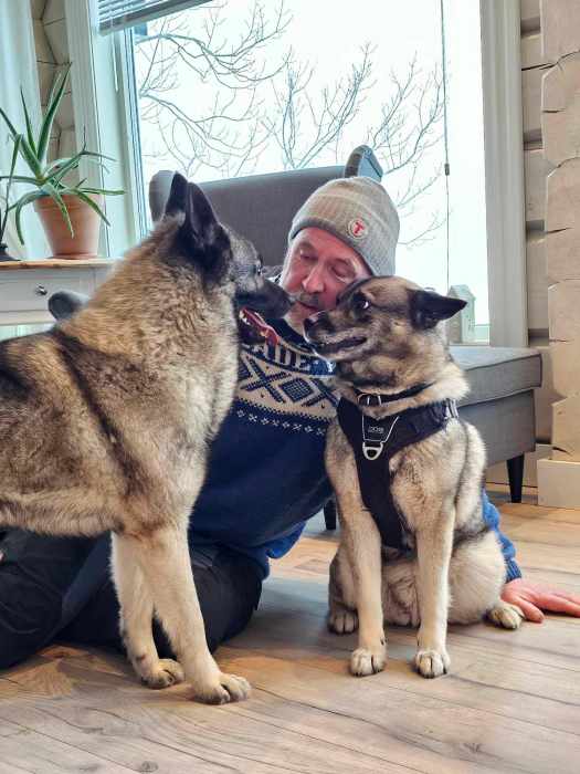 messenger_creation_553d5b9c-b60b-48f4-9697-8ab441b06a1f