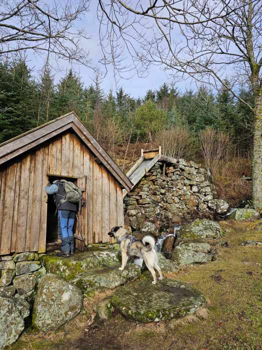 messenger_creation_6b76e024-dc86-4fa2-a73e-35e82fe9d59f