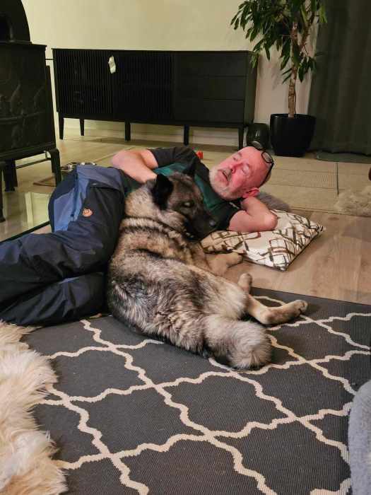 messenger_creation_8544f475-4be9-4461-81af-929aa7d5d845