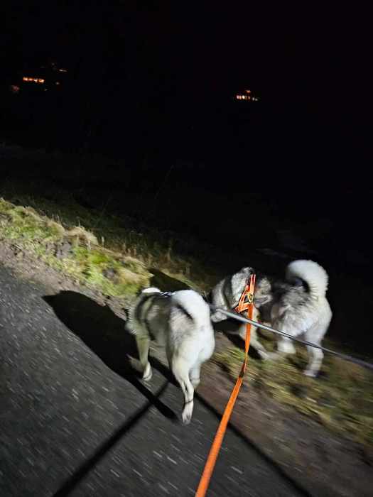 messenger_creation_c0663fba-9f40-4f3d-b5ee-bea69d74743f