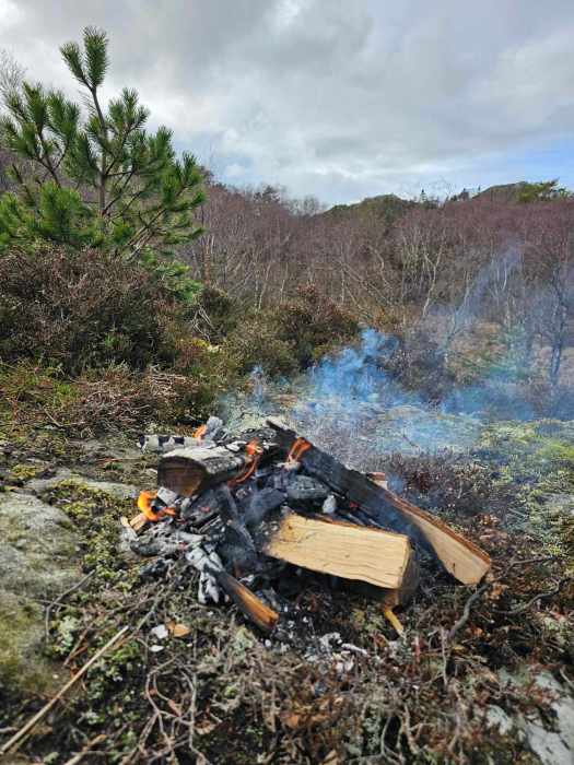 messenger_creation_ee21f3eb-1144-4e63-b0fd-f74989fcfec7