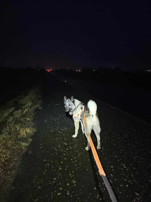 messenger_creation_f3f1cfcc-c3c2-40fc-8ba4-179f81748c77