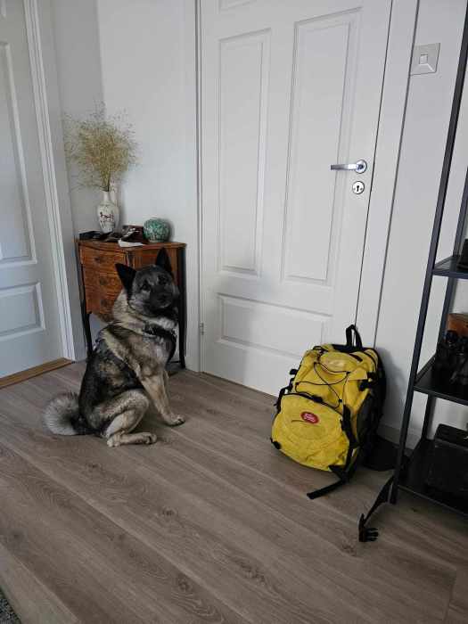 messenger_creation_0760b92d-c4ce-4244-8824-233401ed050e