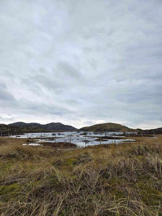 messenger_creation_36529e8e-5cc1-4594-be98-ae03585444d6