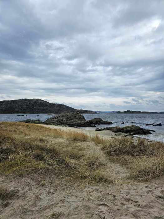 messenger_creation_3b691cb0-3850-4cab-ab53-0d75a922e7c5