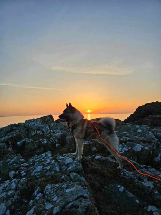 messenger_creation_6da6df3a-2360-49d7-b1bd-f300f6c77fbe