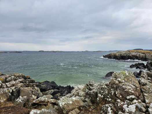 messenger_creation_88d98617-6ca2-4df6-baeb-750652824b2a