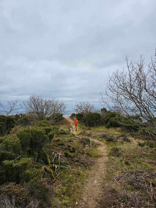 messenger_creation_adfec284-7e7f-414e-ad5b-108cd7020b1b