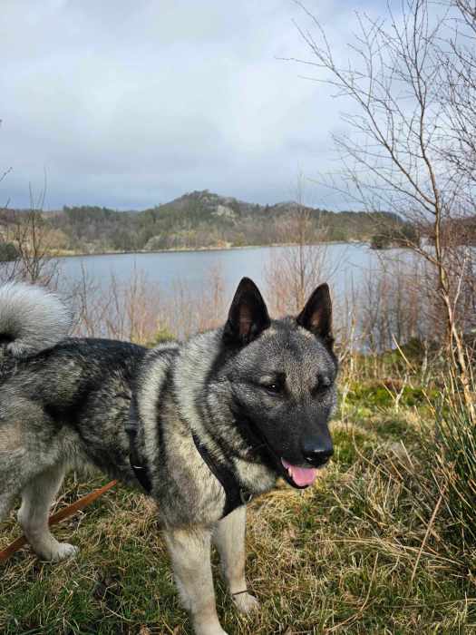 messenger_creation_b8a9ffcf-29ff-4f46-80a9-2d5c0d7e4d89