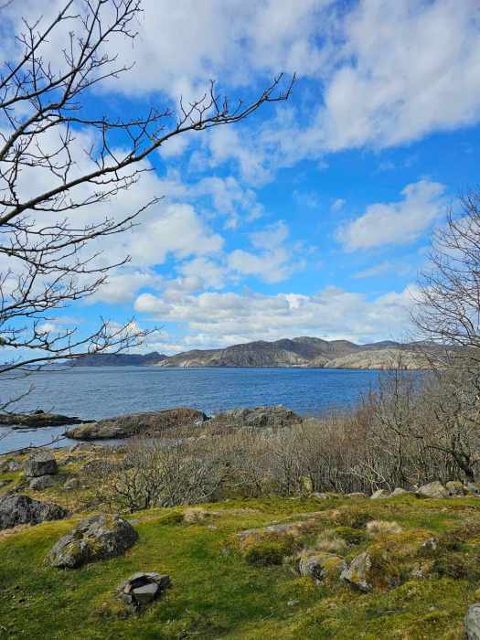 messenger_creation_1ee01901-1aba-49d2-9996-2ab17715664a