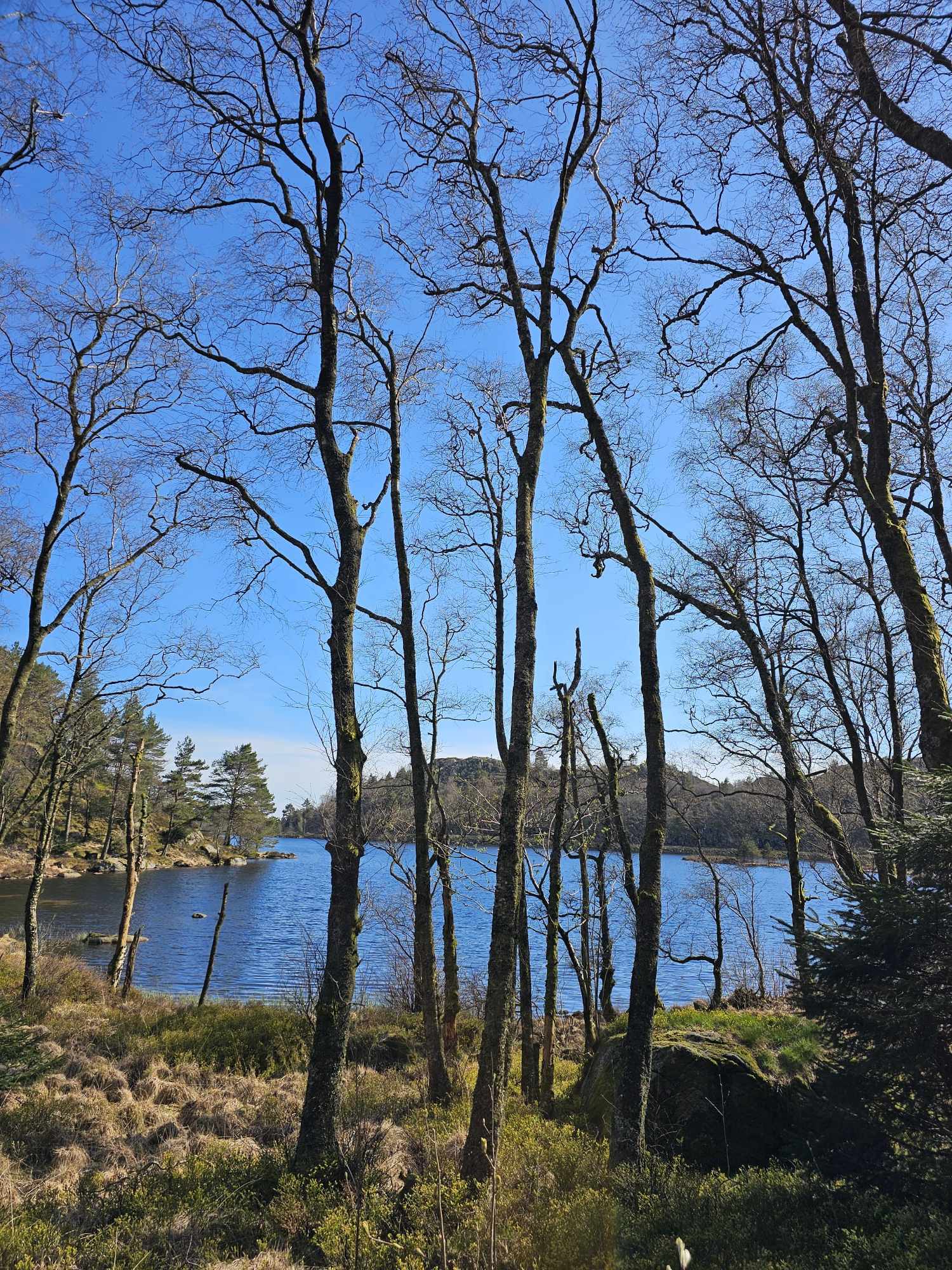 messenger_creation_25e7af4c-bcc3-4a7f-8c39-d1bf12b0ab06