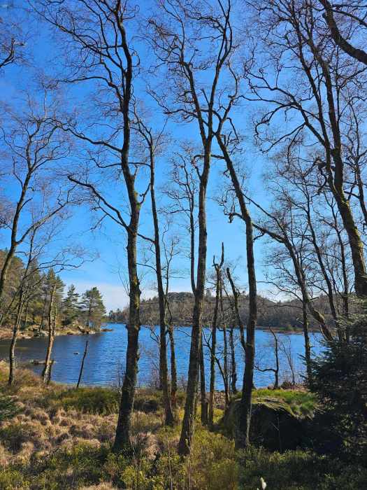 messenger_creation_25e7af4c-bcc3-4a7f-8c39-d1bf12b0ab06