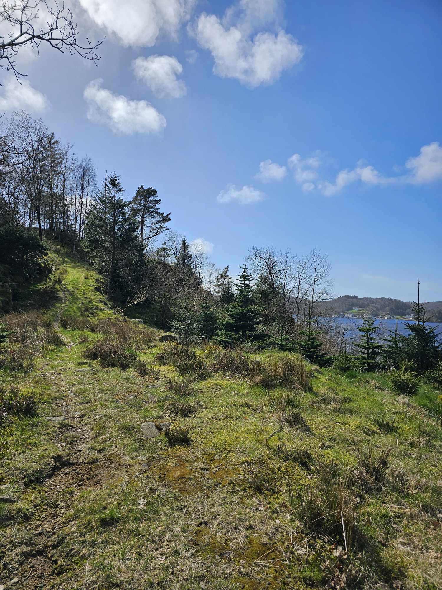 messenger_creation_2a976f29-46e8-4be9-a170-0e1f6fa52839