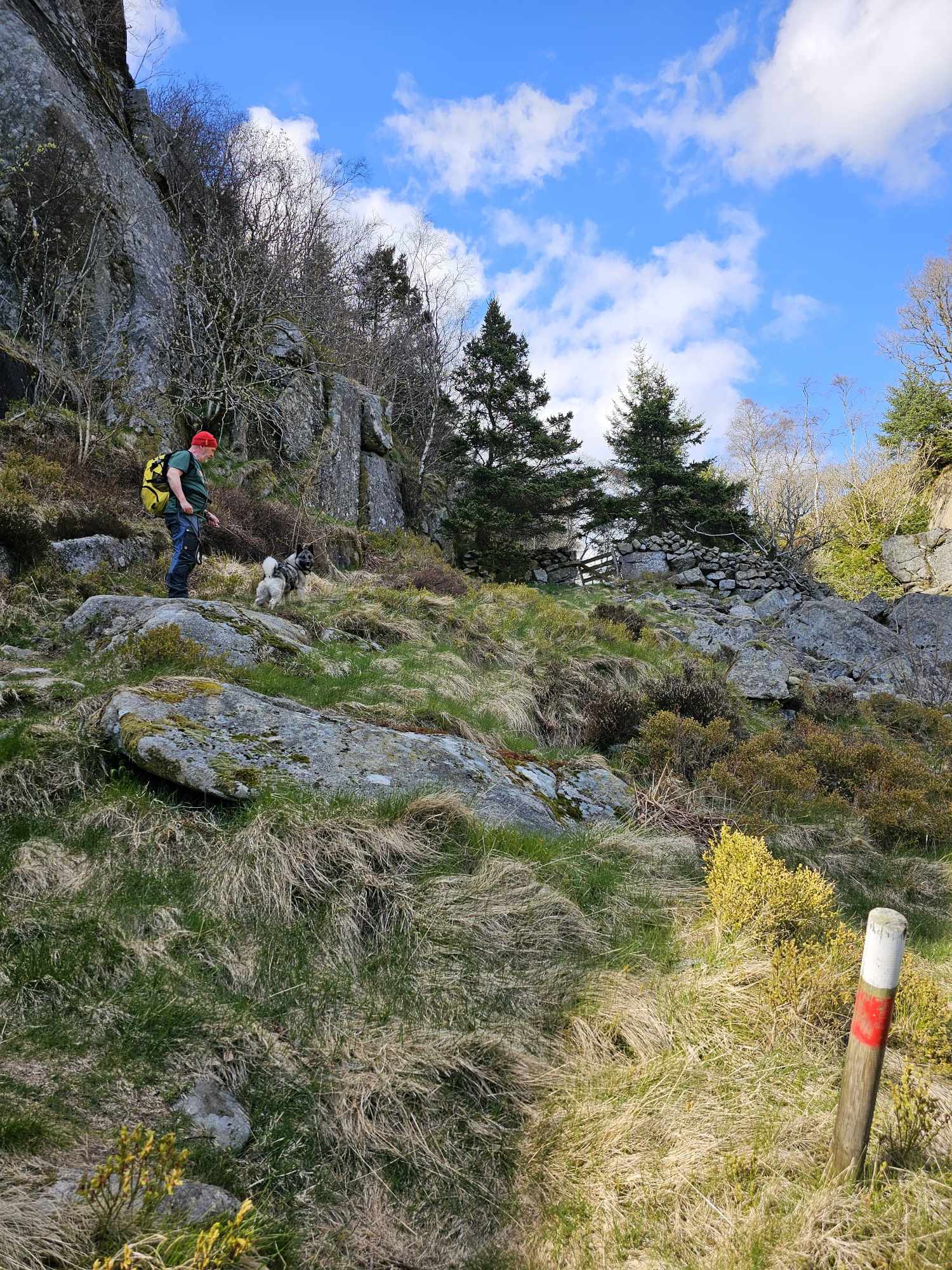 messenger_creation_2d9842f2-48f8-4705-97ec-84105657d2db