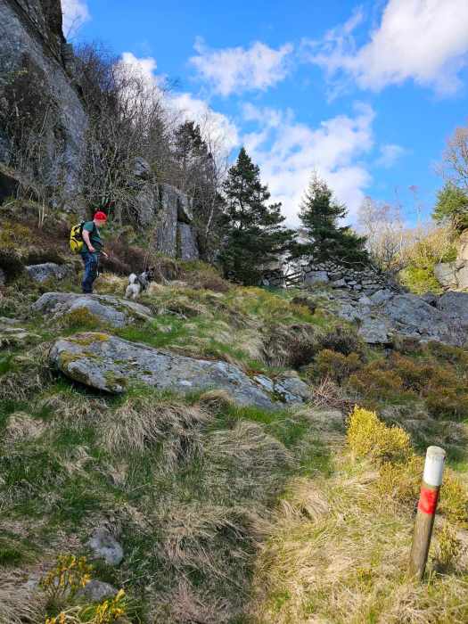 messenger_creation_2d9842f2-48f8-4705-97ec-84105657d2db