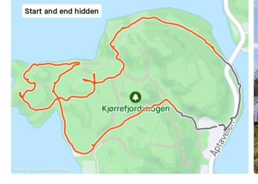 messenger_creation_3ac219e1-2f0e-462b-93f8-6f27f453a8d1