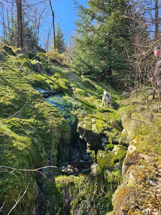 messenger_creation_70b3105b-3b2c-4d3a-b9b6-284987ccbd9e