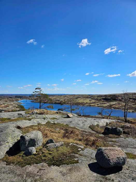 messenger_creation_770a692c-6cb0-4c14-a27a-6dd0c617cd3d