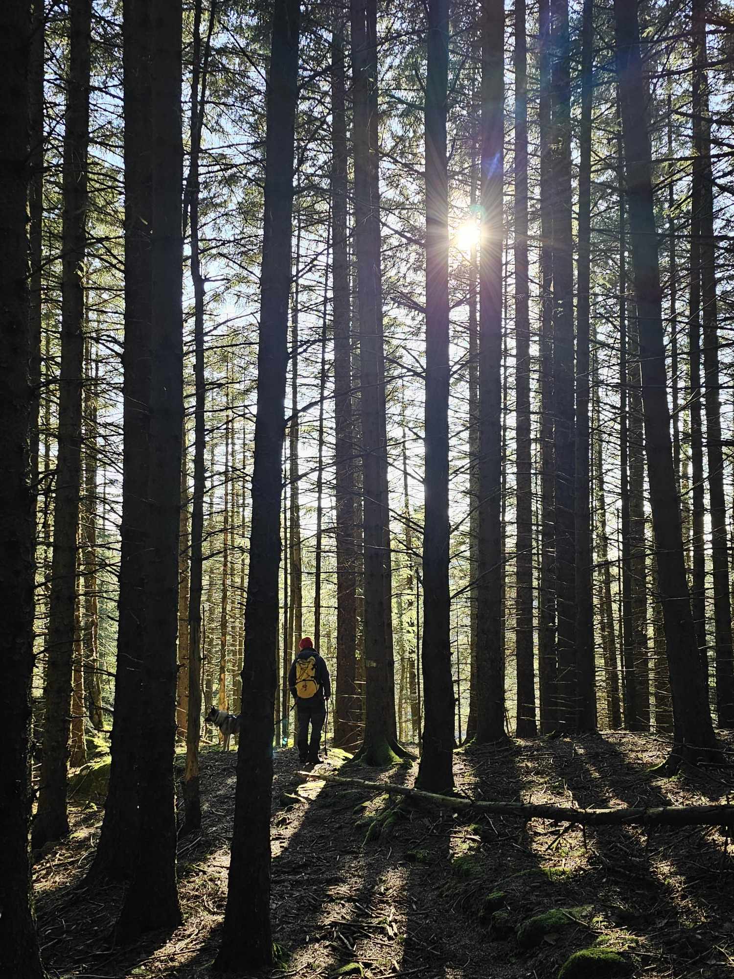 messenger_creation_8a45da35-0205-488b-8851-f6e49011899d