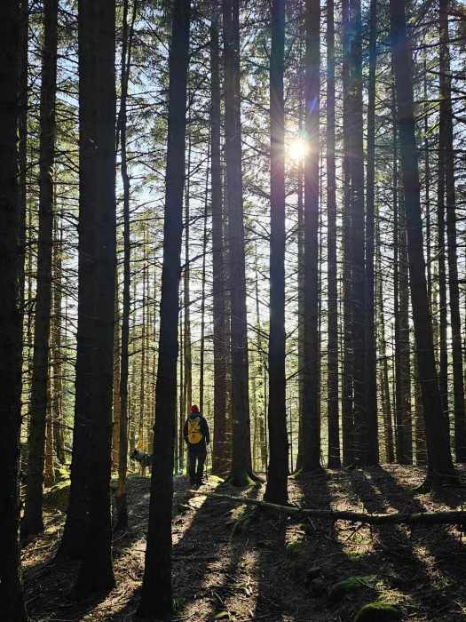 messenger_creation_8a45da35-0205-488b-8851-f6e49011899d