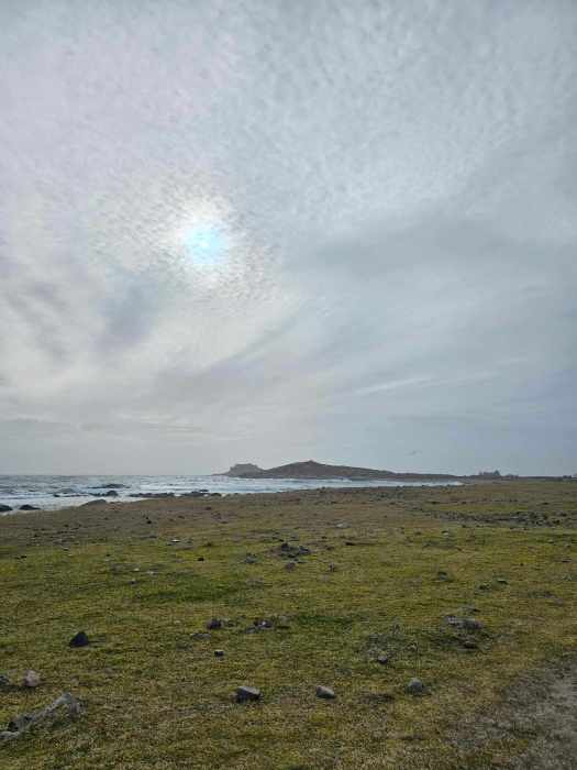 messenger_creation_8a92f92b-1621-48c9-acbe-23c6bcac4fc4