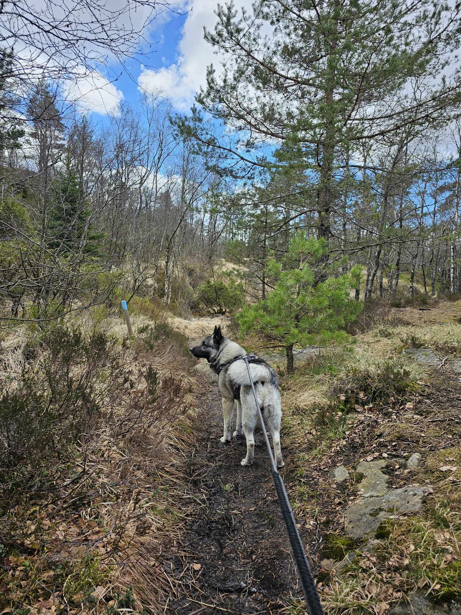 messenger_creation_a699ccff-1a7f-481b-8dfb-fd9637098850