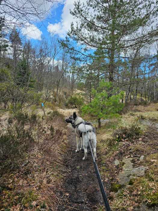 messenger_creation_a699ccff-1a7f-481b-8dfb-fd9637098850