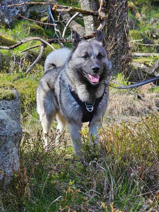 messenger_creation_aabfb45f-89ea-4cba-b484-4f78079def50