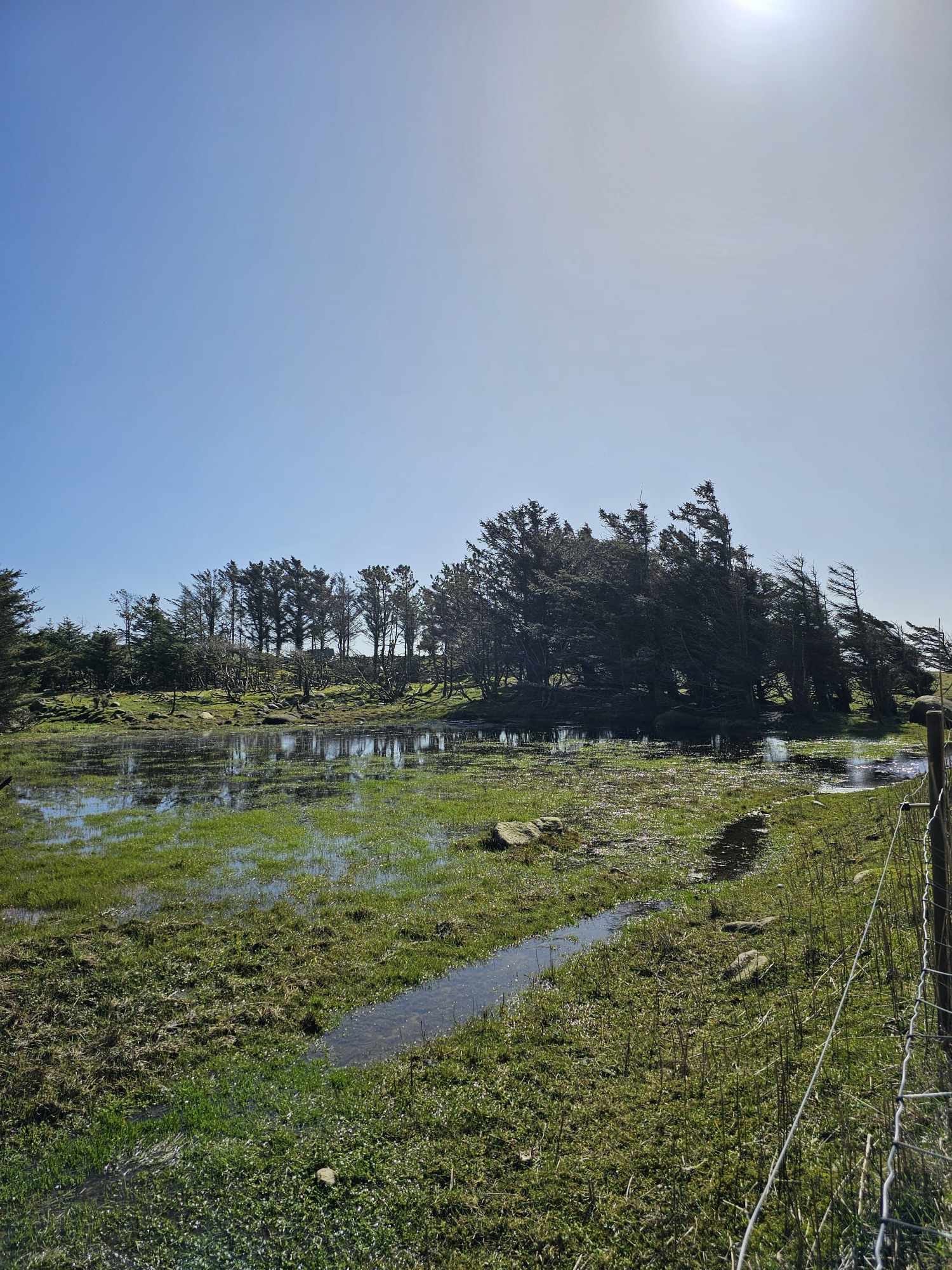 messenger_creation_b4395cf2-c1c0-4899-825a-268c9ce86979