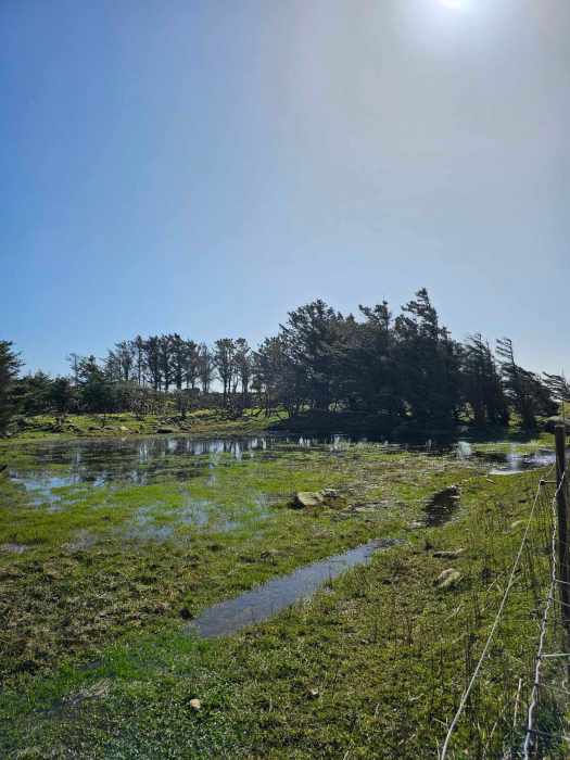 messenger_creation_b4395cf2-c1c0-4899-825a-268c9ce86979