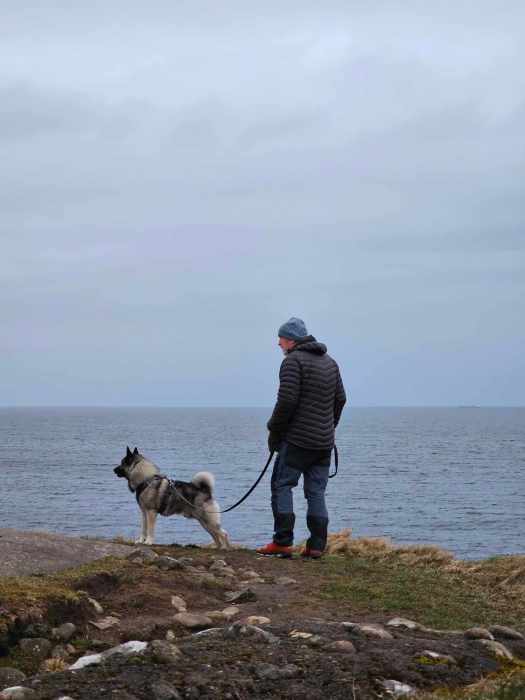 messenger_creation_c4e7bab9-dac1-41d1-a97a-831f6687529a