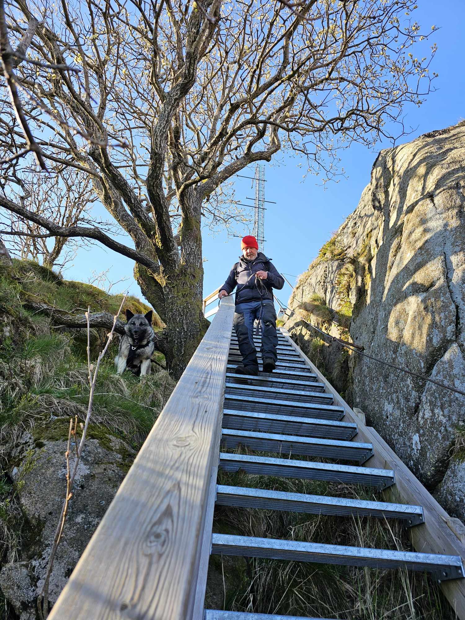 messenger_creation_c68c1771-f257-44c7-afb1-9b48e224b05c