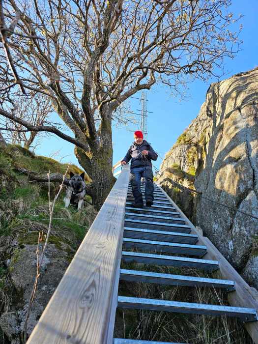 messenger_creation_c68c1771-f257-44c7-afb1-9b48e224b05c