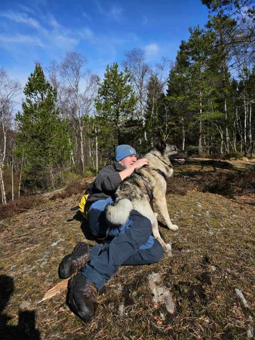 messenger_creation_c80bfaed-3477-499e-b98b-5310d0da37cb