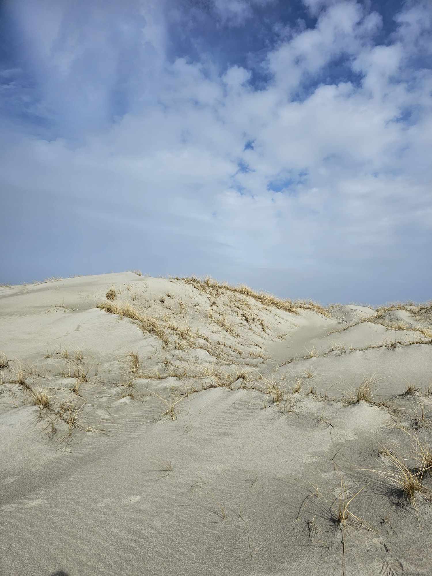 messenger_creation_e5737473-9b1b-4619-b79c-fc4d558492f5