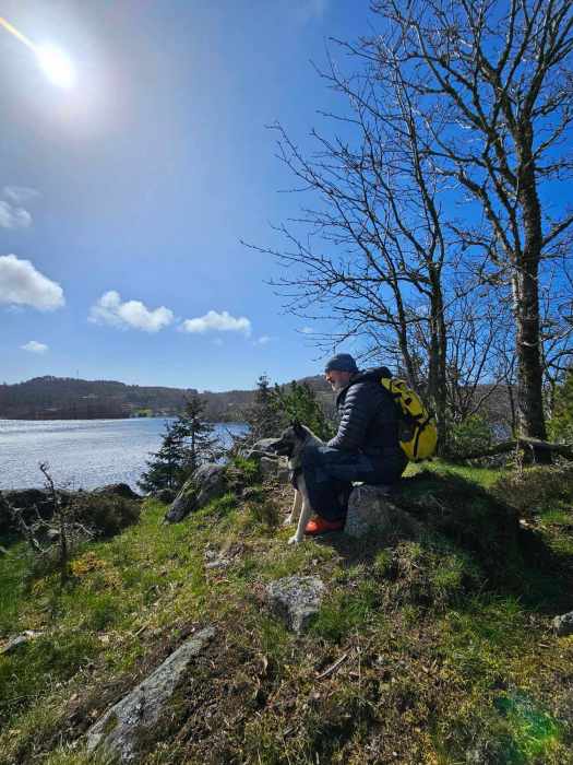 messenger_creation_f37271a3-af8f-4841-b76a-3f48813cd1c3