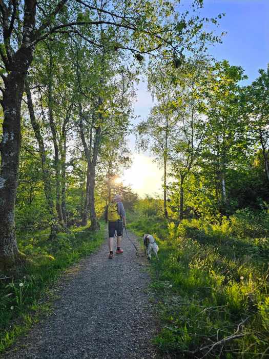 messenger_creation_10ea9a1c-e753-4f63-8c47-e90e30504d59