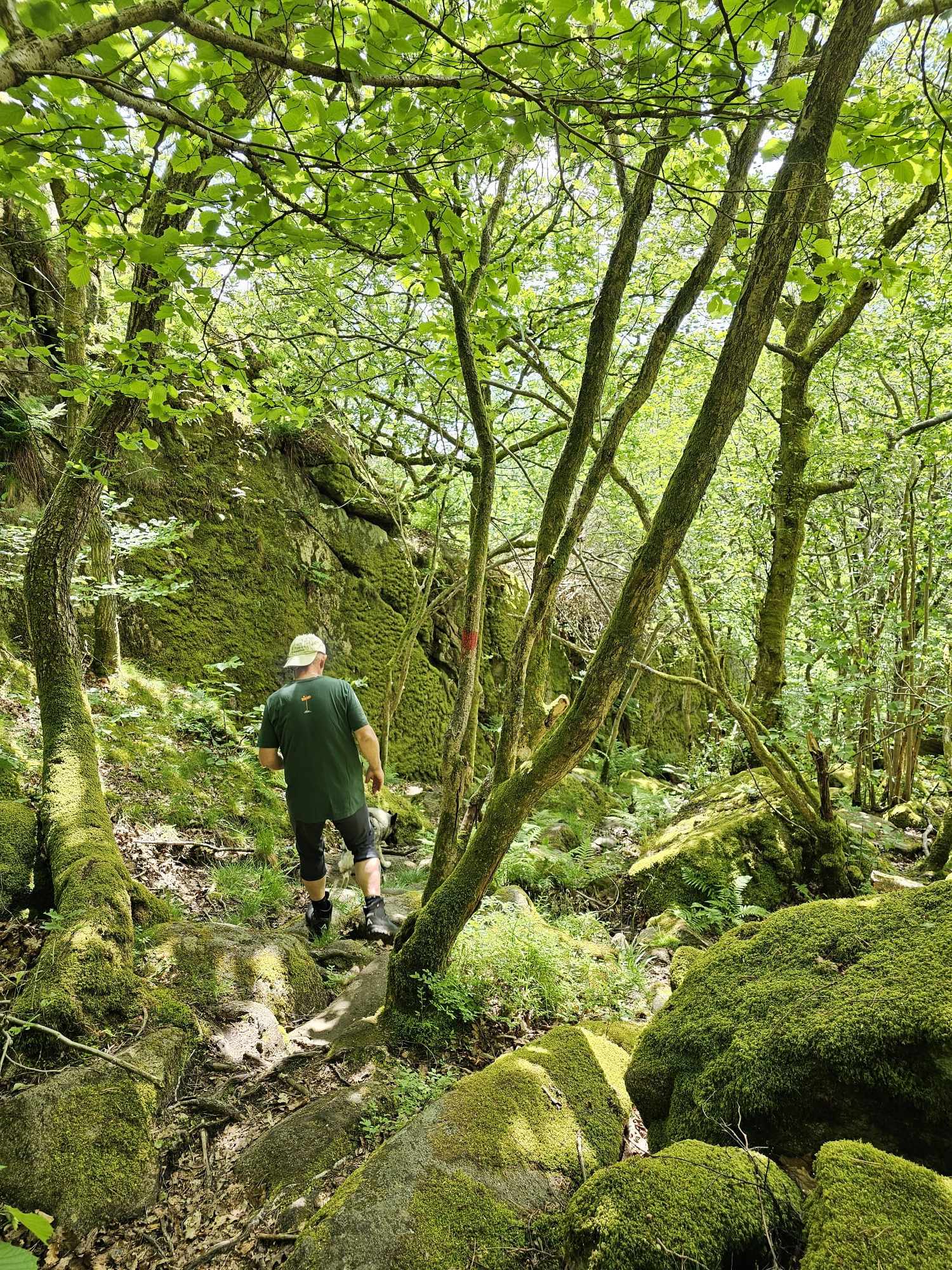 messenger_creation_126dba33-94f6-46e3-bb9a-8bc3add98f3e