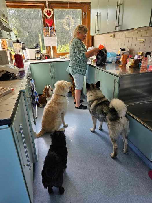 messenger_creation_13af6c2d-dc11-48ea-92b9-ff487581070a