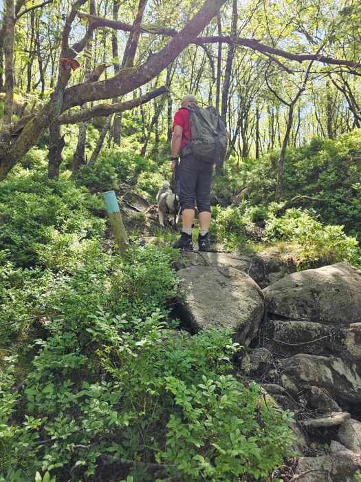 messenger_creation_181c486a-8544-45fe-a8a1-b30f24eb487e