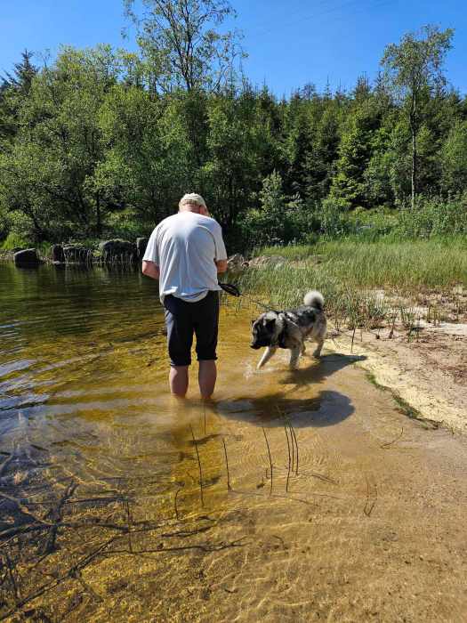 messenger_creation_1f2bf031-0f47-452e-9c56-1f03e28aae6d