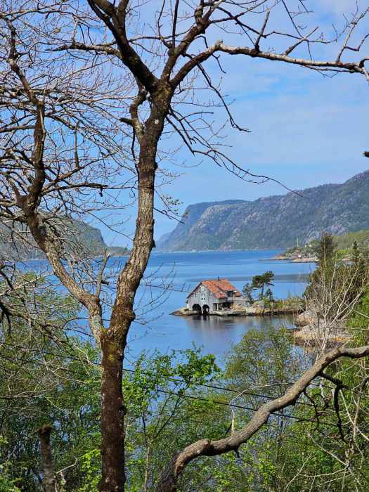 messenger_creation_2736e835-4759-4bbe-bd6d-99f7deb892c4