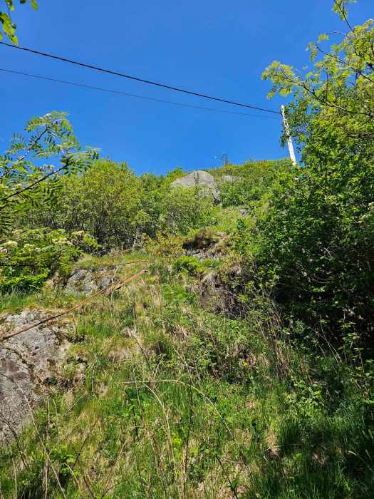 messenger_creation_2a1733d4-8e75-43f1-aa66-2a7ed2c66218