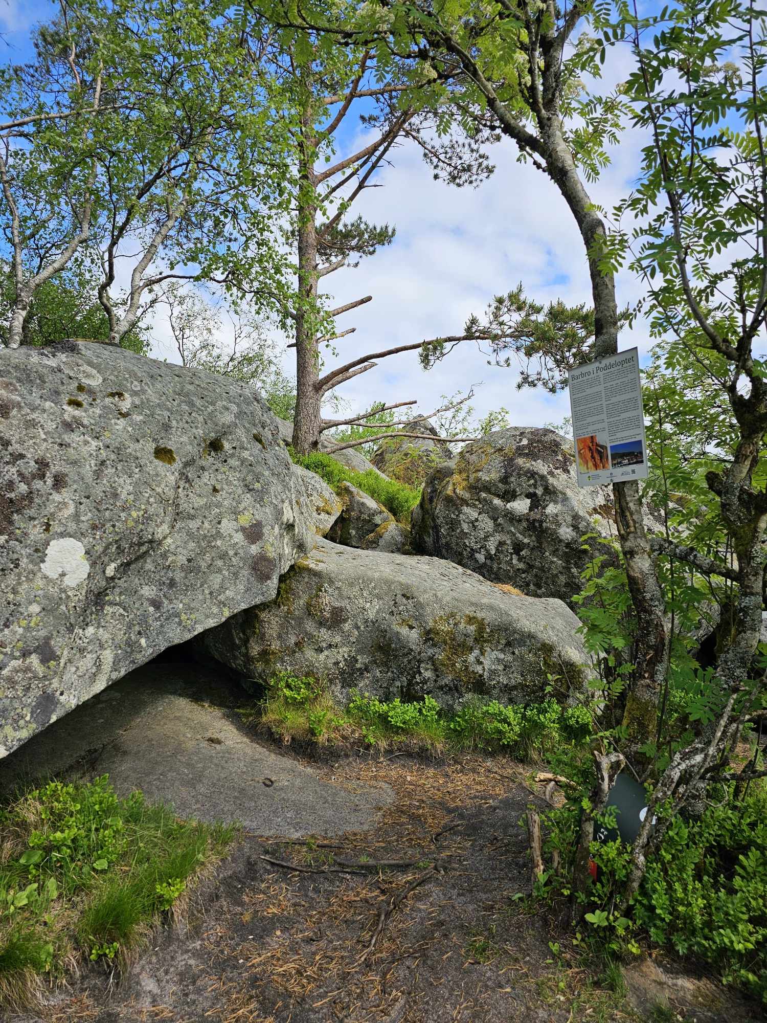 messenger_creation_43a12909-bbd6-496d-83ca-c5a530bd8261