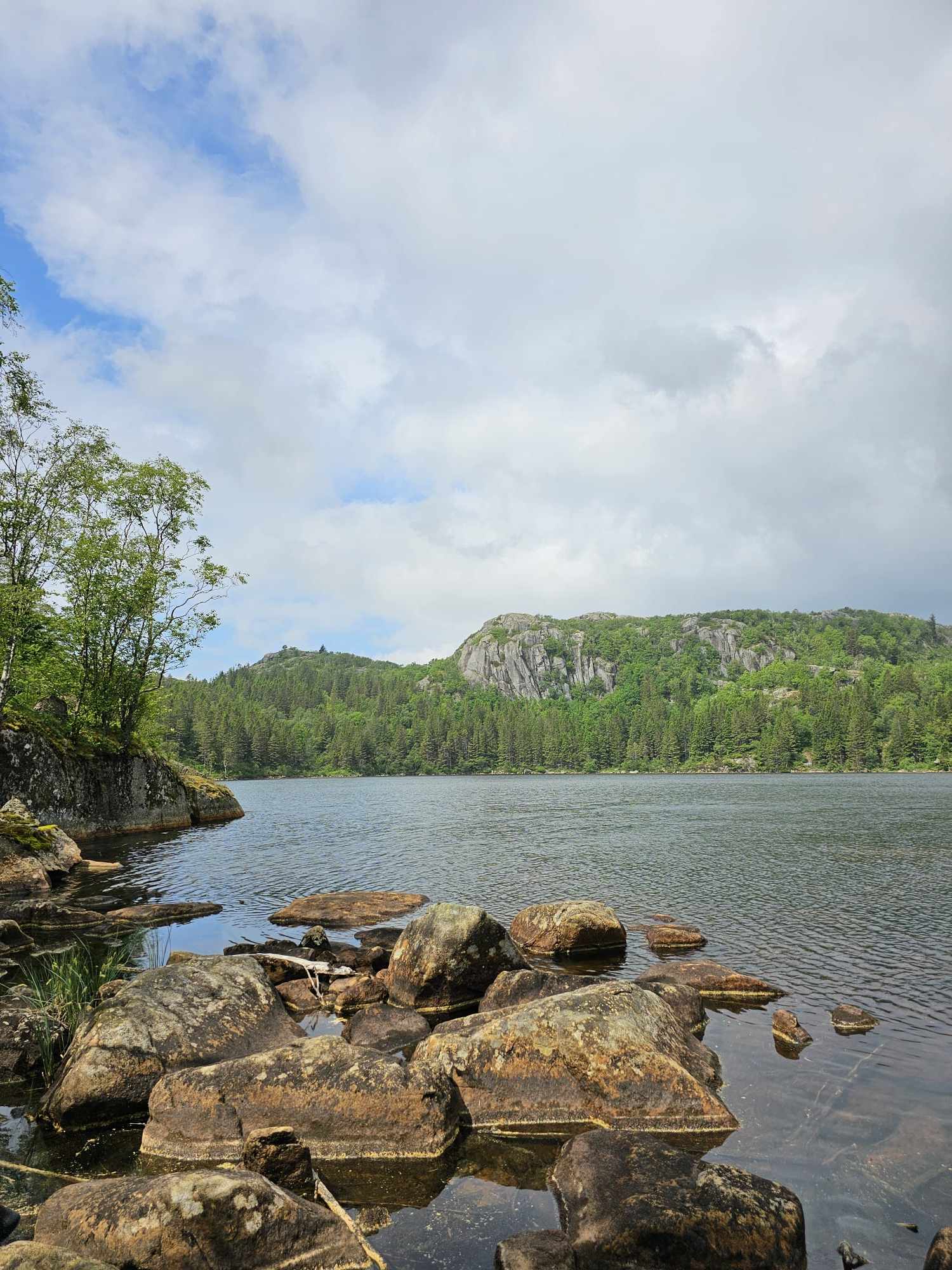 messenger_creation_4ca3e94b-3209-48b1-919f-10319a8a9564