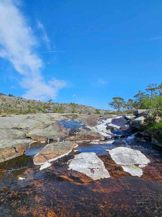 messenger_creation_4f4a7163-6cf7-4152-a006-84c696301987